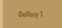 Gallery 1