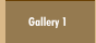 Gallery 1